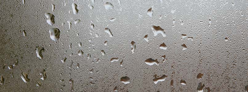 condensation on windows